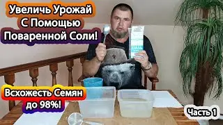 Как МАКСИМАЛЬНО увеличить ВСХОЖЕСТЬ СЕМЯН до 98%
