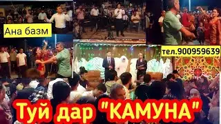 Туй дар 