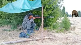 ОХОТА НА МЕДМЕДЯ / НА ПЯТЫЙ ДЕНЬ ПРИШЁЛ КОСОЛАПЫЙ К ПРИВАДЕ. СХВАТИЛ МЕШОК СО ШКУРКОЙ И В ЛЕС БЕЖАТЬ