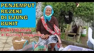 PENJEMPUT REZEKI DI UJUNG BUKIT - BUKIT IDAMAN di Gisting Tanggamus