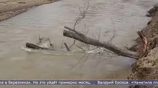 22.04.2024 В областном центре мониторят уровень воды в реках