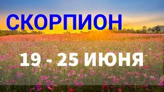 ♏ СКОРПИОН . Таро прогноз на неделю 19 - 25 ИЮНЯ.
