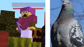 BedWars на DMS | Не вошедшее 213