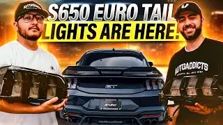 2024 + Mustang Euro Taillights | Amber sequential Turn Signals | @AutoAddictUSA