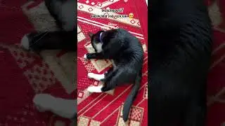 успел нажать на носик?☺️
