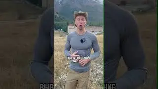 Необычное предложения руки и сердца 