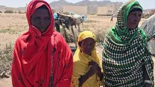 South Sudan   climate change programme HoAREC&N