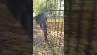 23 октября 2024 г.