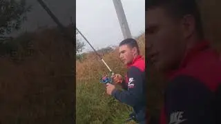 Когда рад первой рыбке, и вываживаешь с опаской. #shorts #рыбалка #carpfishing #shortsyoutube