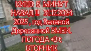 КИЕВ  5  МИНУТ НАЗАД !!!   31.12.2024 2025 , год Зеленой Деревянной ЗМЕИ. ПОГОДА +3 t ВТОРНИК