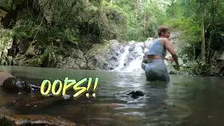 Photoshoot and  swim at Cougal Cascades: chasing waterfalls Gold Coast Australia 🇦🇺