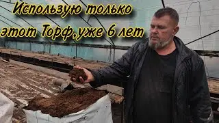 Преимущества Торфогрунта Veltorf для посева семян Томата