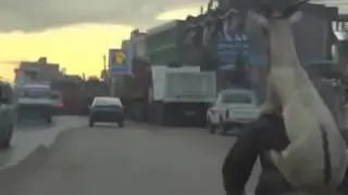 videoplayback 26
