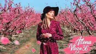 КРАСИВЫЕ МЕСТА В ИСПАНИИ, АЙТОНА (Aitona), цветочные поля VLOG#36 