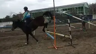Прыжки на лошади (Дельфин/Татьяна)