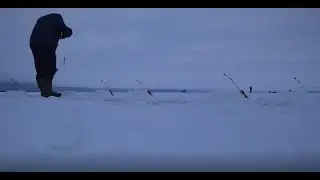 Ловля корюшки на Финском заливе Ушково 29.01.22