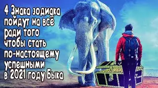4 Знака зодиака пойдут на всё ради того чтобы стать по-настоящему успешными в 2021 году Быка