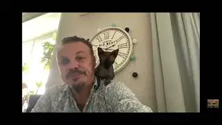 Сергей Симонов - кот Базилио и кот выпрашивают донаты