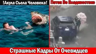 СРОЧНО❗НОВОСТИ❗Акула У Всех На Глазах Разорвала Россиянина Хургада Египет❗Потоп Во Владивостоке❗