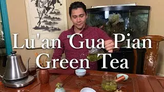 Lu'an Gua Pian (Sunflower Seed) - A Bold High-End 2021 Green Tea