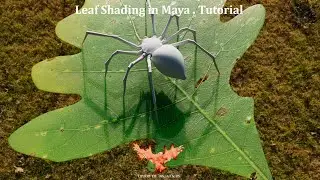 Hojas realistas en Arnold y Maya/ Leaf Shading in Maya