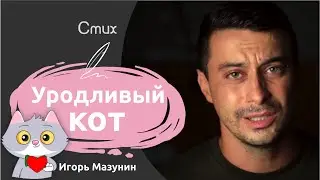 Стих про кота до слёз | Уродливый кот