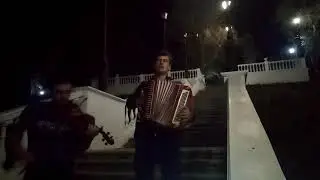 В голове моей туманы- маны, кавер под баян и скрипку