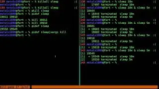 Killing Processes Linux Shell Tutorial