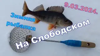 На Слободском. 9.03.2024. Зимняя рыбалка. Предвесенняя погода.