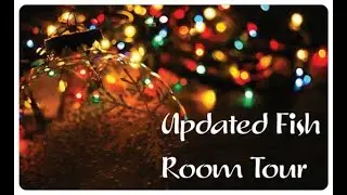 Fish Room Tour