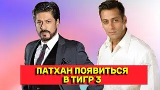 Шахрукх Кхан сыграет в Тигр 3.