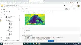 Predict 10 classes of monkeys with 40 training pictures total using Image Classification/Recognition