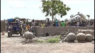 Conflit agriculteur – éleveur à Fada N’Gourma : Le bétail débarque, les paysans plient bagages