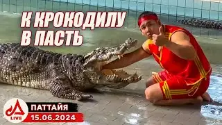 Крокодиловая ферма в Паттайе 🔴 Таиланд LIVE