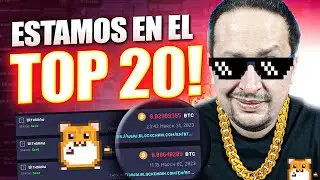 💥 ROLLERCOIN: Cuánto Se GANA En El TOP 20 MUNDIAL? | Rollercoin Cómo Empezar y Recomendaciones