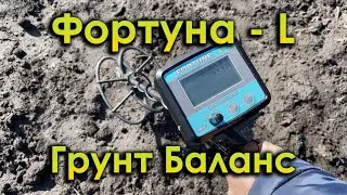 Металлодетектор Фортуна-L  Грунт Баланс