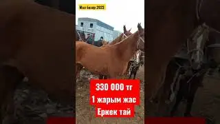 Мал базар 2023