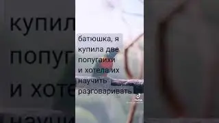 Анекдот о Попугаях )))