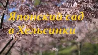 Японский сад в Хельсинки.Смотреть всем!Очень красиво!