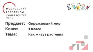 Окружающий мир. 1 класс. Как живут растения