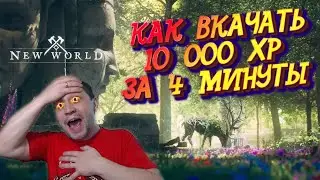 КАК БЫСТРО ПРОКАЧАТЬСЯ за 4 МИНУТЫ - 10 000 xp 💢 NEW WORLD ► Нью Ворлд! ГАЙД.