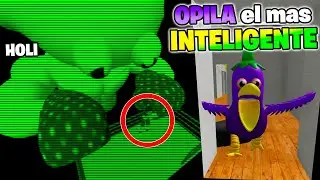 QUE PASAS SI LLEVO A OPILA BERENJENA CON LIMON JOSH? 🐤🍆🍋
