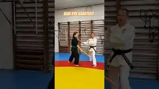 KoBudo. Asai Ryu karatedo. 