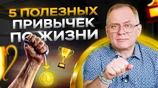5 полезных привычек по жизни, которые помогут любому стать успешнее