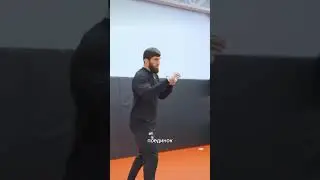 Анкалаев накутировал Уокера