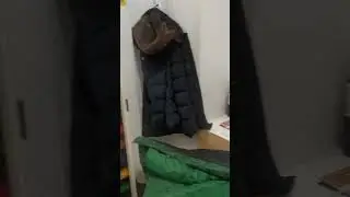 на работе #прикол #гусь #смех #смешныемоменты #shorts #shortvideo #шортс