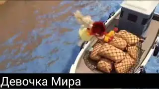 Клип монкарт//сейна и джин//влюблена в мдк.