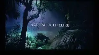 Ultimate Dolby atmos compilation