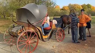 Как провести выходной день/Поездка в Лермонтово/Музей-заповедник 