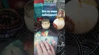 Ого,кто за вами наблюдает?)) #music #картытаро